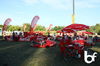 Poze Peninsula 2010 - The Crowd