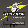 Electrofish - un nou brand de evenimente