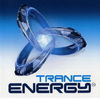 30.000 de clubberi la Trance Energy 2008