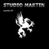 Programul Studio Martin in luna martie