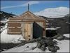 Whisky scotian, dezgropat dupa un secol din gheturile Antarcticii