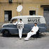 Muse