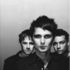 Muse