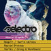 Selectro @ Expirat & Other Side
